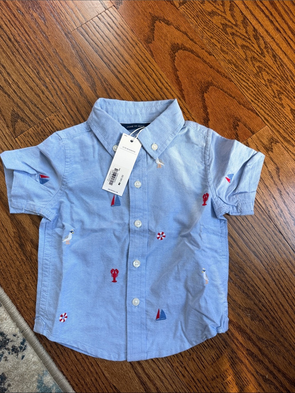 Janie and Jack Light Blue Nautical Embroidered Button-Down Shirt